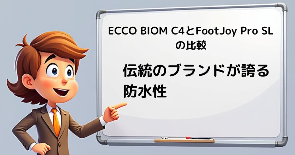 ECCO BIOM C4 vs 他ブランド　伝統