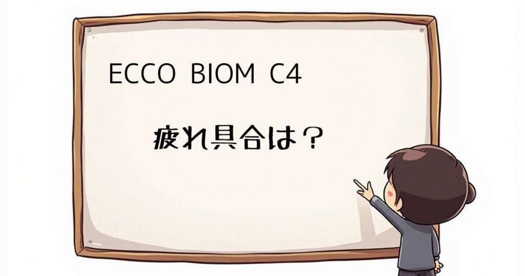 ECCO BIOM C4レビュー　疲れ知らず！