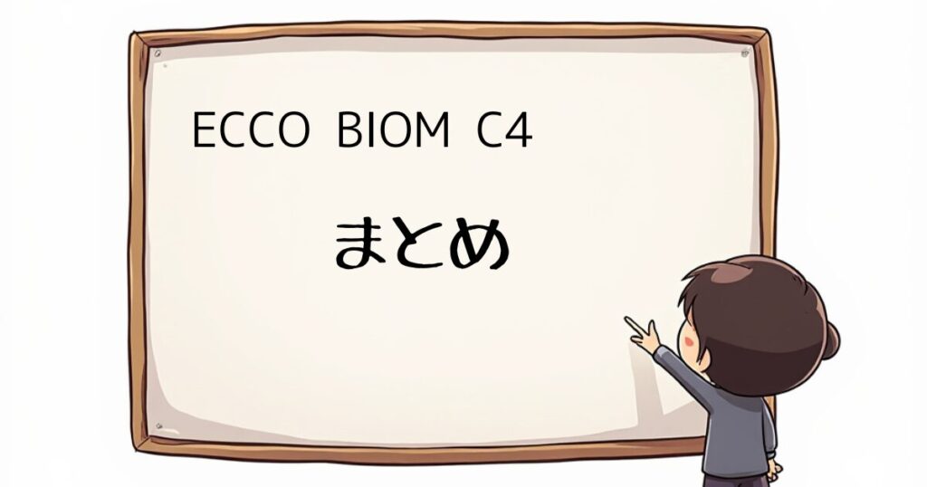 ECCO BIOM C4レビュー　まとめ